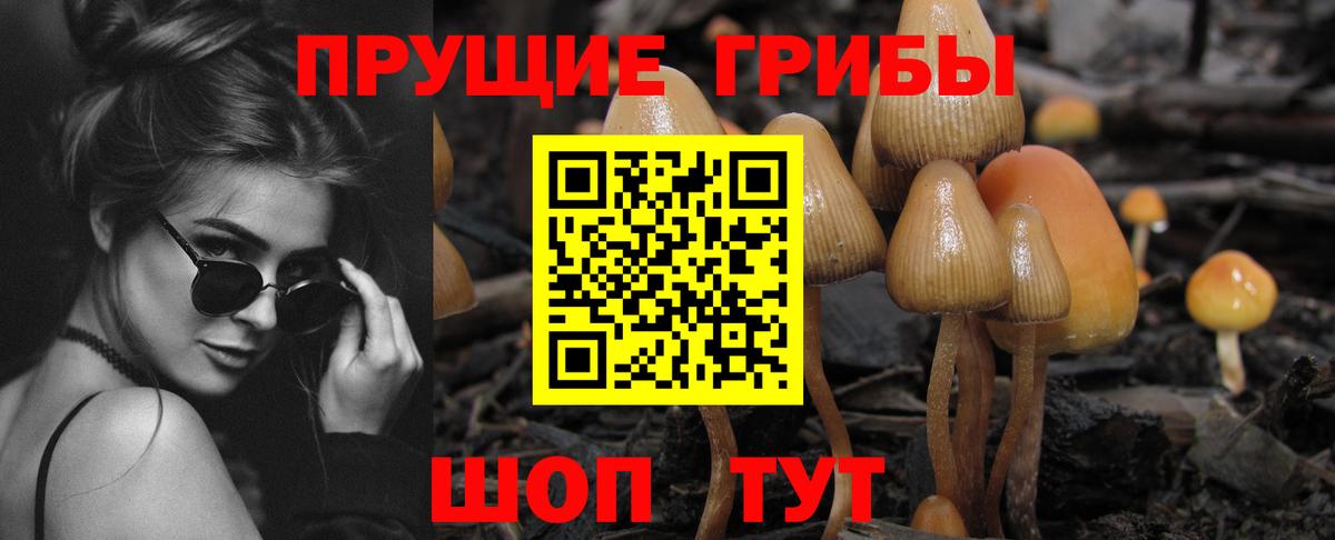 Псилоцибиновые грибы Magic Shrooms  Вход с VPN  Псилоцибиновые грибы ЛСД  как найти наркотики  Сегежа 